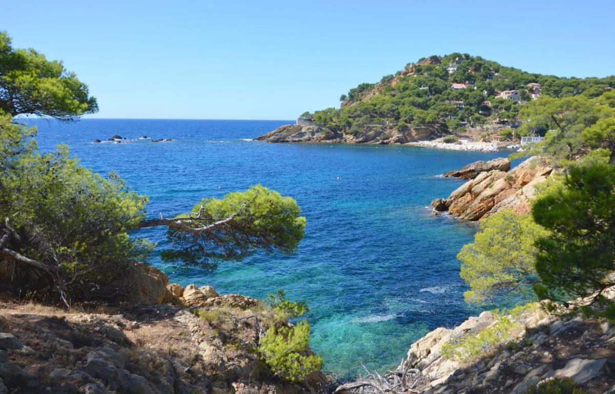 Un Nid A Saint Tropez Lejlighed Eksteriør billede
